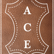 Ace - Logo