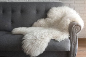 Sheepskins and Hides