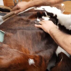 Skin, Hides & Sheepskin Rugs