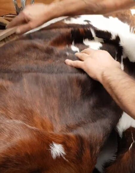 Skin, Hides & Sheepskin Rugs