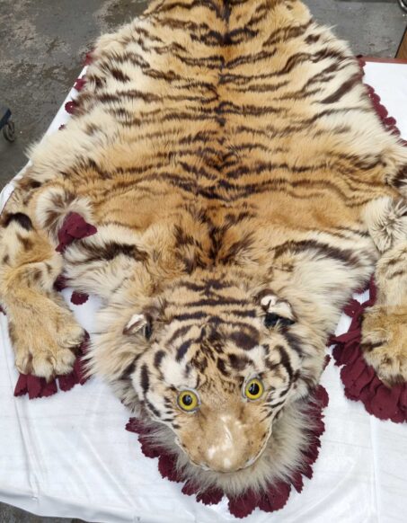 Sheepskin, Hides & Suedes Rugs